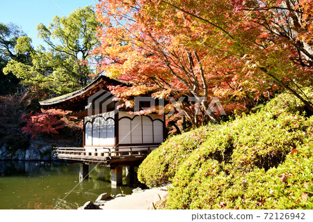 和歌山城秋葉在秋葉谷花園 和歌山城秋葉在秋葉谷花園 72126942