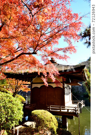 和歌山城秋葉在秋葉谷花園 72126943