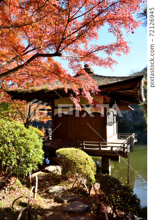 和歌山城秋葉在秋葉谷花園 72126945