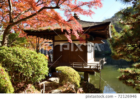 和歌山城秋葉在秋葉谷花園 72126946