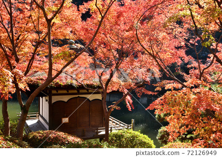 和歌山城秋葉在秋葉谷花園 和歌山城秋葉在秋葉谷花園 72126949