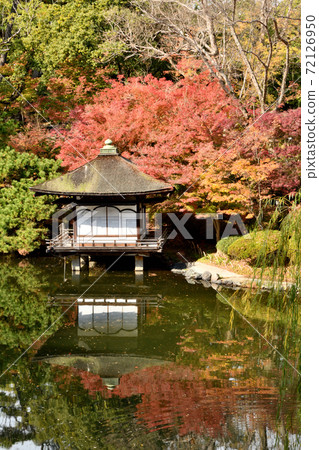 和歌山城秋葉在秋葉谷花園 和歌山城秋葉在秋葉谷花園 72126950