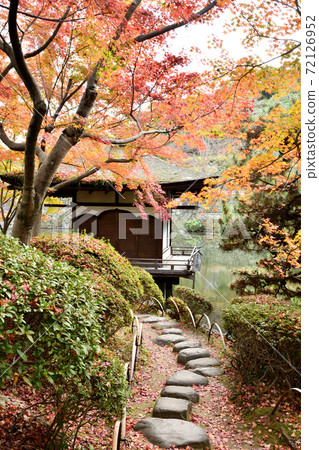 和歌山城秋葉在秋葉谷花園 和歌山城秋葉在秋葉谷花園 72126952