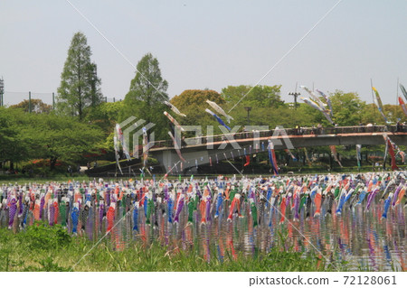 Carp streamer festival in Tsutsujigaoka Park, Tatebayashi City, Gunma Prefecture Carp streamer festival in Tsutsujigaoka Park, Tatebayashi City, Gunma Prefecture 72128061
