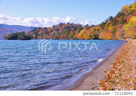 十和田湖十和田八anda平國家公園的秋葉在青森縣十和田市五zen濱市附近 十和田湖十和田八anda平國家公園的秋葉在青森縣十和田市五zen濱市附近 72128093