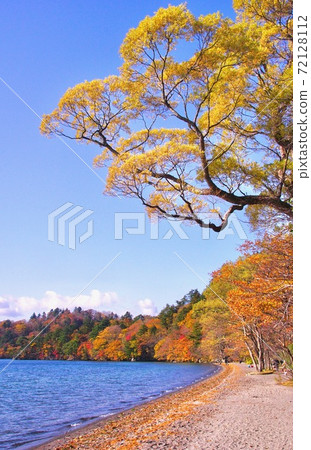 Autumn leaves of Lake Towada Towada Hachimandaira National Park Near the closed house Gozengahama Towada City, Aomori Prefecture Autumn leaves of Lake Towada Towada Hachimandaira National Park Near the closed house Gozengahama Towada City, Aomori Prefecture 72128112