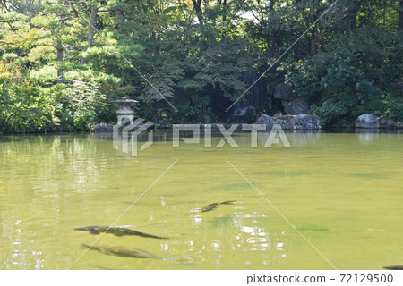 Japanese Garden at Ishibashi Cultural Center 72129500