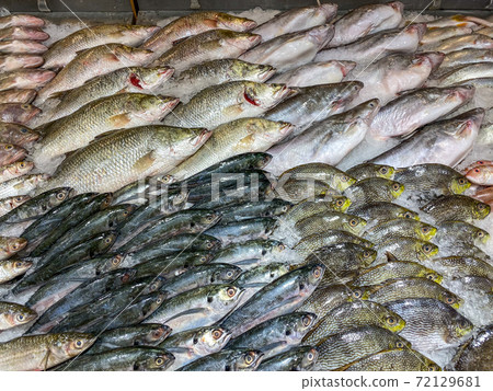 Assortment of frozen fish for sale at seafood market Assortment of frozen fish for sale at seafood market 72129681