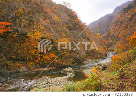 Kiyotsu Gorge, Tokamachi City, Niigata Prefecture, Japan 72130388