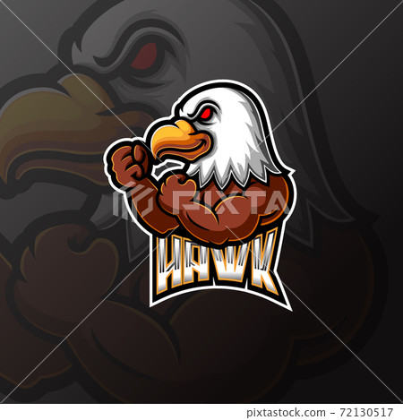 Eagle mascot e sport logo design - Stock Illustration [72130517] - PIXTA