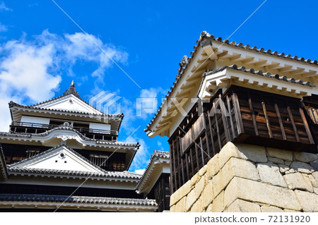 Matsuyama Castle 72131920