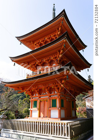 [滋賀縣]武生島三重塔 72132884