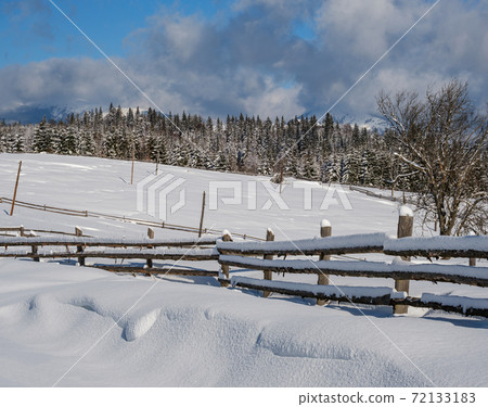 Alpine mountain snowy winter fir forest and snow drifts near wood fence on secondary countryside road wayside Alpine mountain snowy winter fir forest and snow drifts near wood fence on secondary countryside road wayside 72133183