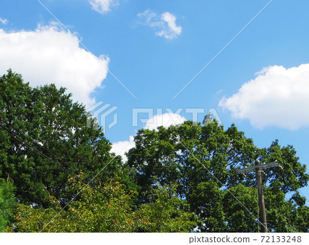 Photograph of summer mountains, blue sky and white clouds on a sunny day 72133248