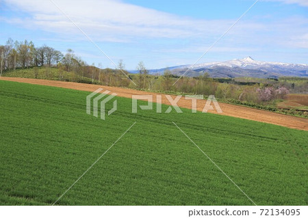 Scenery of Hokkaido "Spring Niseko / Konbu-dake" (Niseko Town, Hokkaido) 72134095