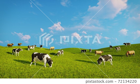 Herd of dairy cows on green pasture at daytime 3D 72134220