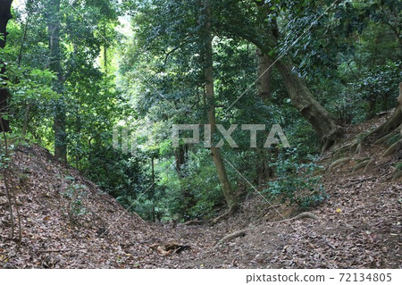 金崎城堡 72134805