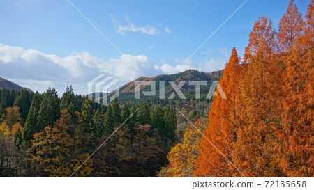 Nibetsu-Autumn view- 72135658