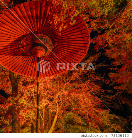 Autumn leaves in Nagasaki / Thirty Garden Autumn leaves in Nagasaki / Thirty Garden 72136113