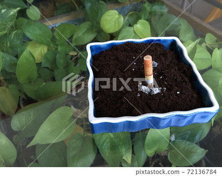 one cigarette in ceramic ashtray on glass table one cigarette in ceramic ashtray on glass table 72136784