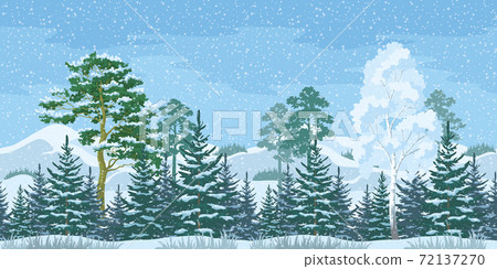 Seamless Christmas Winter Forest Landscape Seamless Christmas Winter Forest Landscape 72137270