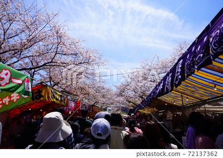 Cherry blossom walkthrough Cherry blossom walkthrough 72137362