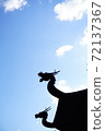 Aozora silhouette dragon 72137367