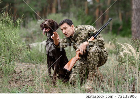 Man with Rifle and Pointer Dog Hunting for Rabbit. Man with Rifle and Pointer Dog Hunting for Rabbit. 72138906