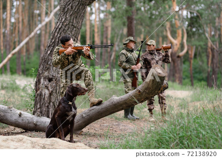 Hunter Taking Aim Concentrated Stance of Dog. Hunter Taking Aim Concentrated Stance of Dog. 72138920
