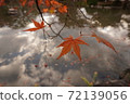 Autumn leaves on Ikegami 72139056