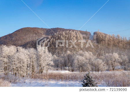 Hokkaido winter landscape Furano rime 72139090