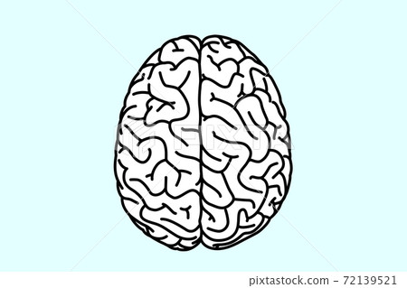 Brain line art vector illustration - Stock Illustration [72139521] - PIXTA