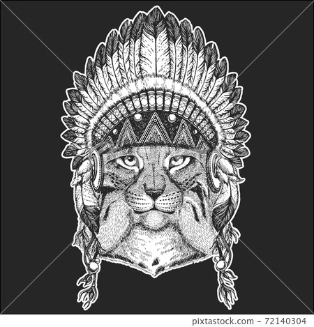 Lynx, bobcat, trot portrait. Head of wild cat. Indian tribal traditional headdress with feathers. 72140304