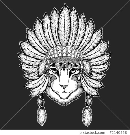 Face of domestic cat. Indian tribal traditional headdress with feathers. Portrait of animal. Cute kitty, kitten. 72140338
