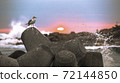 Landscape with gulls at Homigot 72144850