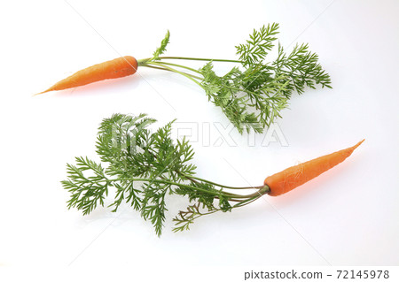 Carrot with leaves Mini carrot 72145978