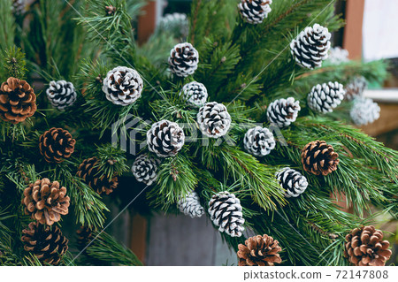Pine branches with natural pine cones in the store 72147808