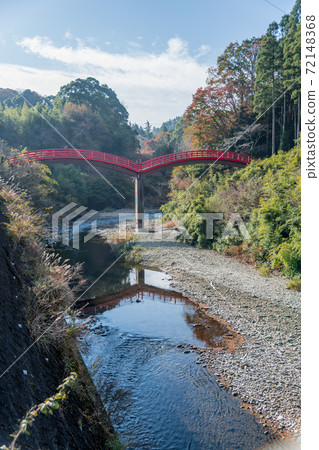 [Autumn leaves of Yoro Valley Kannon Bridge] 72148368