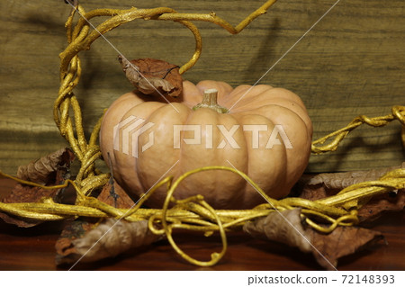 Pumpkin and golden ivy 6 Pumpkin and golden ivy 6 72148393
