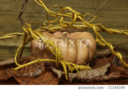 Pumpkin and golden ivy 5 Pumpkin and golden ivy 5 72148394