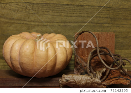 Pumpkins and vines 4 72148395