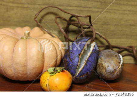 Autumn fruit pumpkin, chocolate vine, persimmon 3 72148396