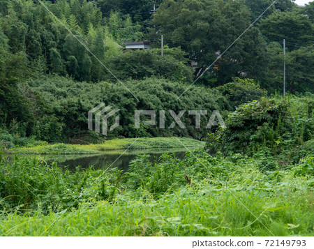 花島公園 72149793