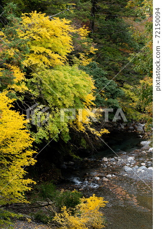 Autumn valley scenery in the headwaters of the Yasu River 72150094