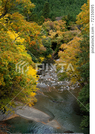 Autumn valley scenery in the headwaters of the Yasu River Autumn valley scenery in the headwaters of the Yasu River 72150095