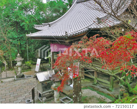 Godaisan Chikurinji autumn leaves 72150117