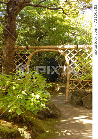 A Japanese garden pointing to the light with a Koetsuji fence 72150282