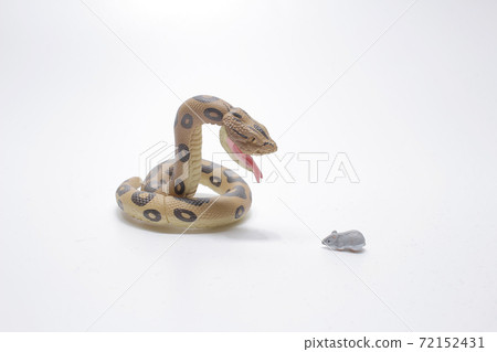 a figure of snake eat the mouse a figure of snake eat the mouse 72152431