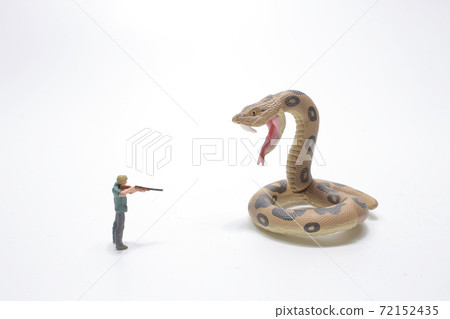 a mini of figure man shooting the big snake a mini of figure man shooting the big snake 72152435