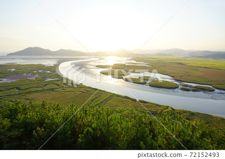Afternoon in Suncheon Bay Afternoon in Suncheon Bay 72152493